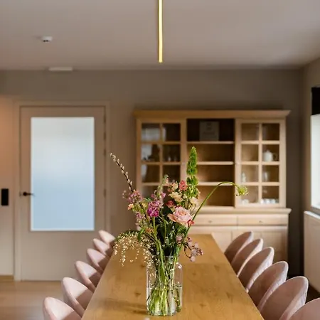 Coq Au Lit: Maison D'etoile De Haan