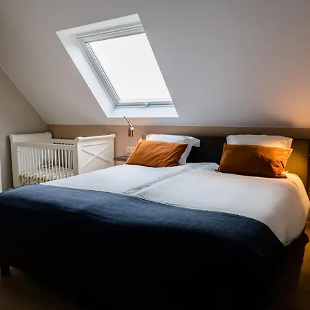 Vakantiehuis Coq Au Lit: Maison D'etoile De Haan